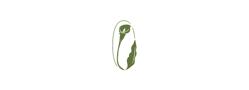 YUCCA logo