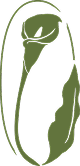 YUCCA